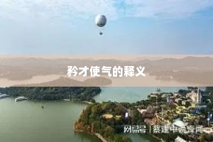 矜才使气的释义