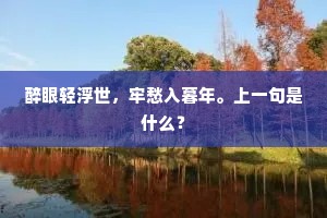 醉眼轻浮世，牢愁入暮年。上一句是什么？