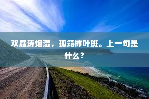 双屐涛烟湿，孤筇柿叶斑。上一句是什么？