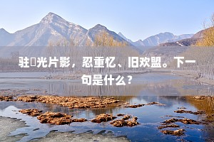 驻娭光片影，忍重忆、旧欢盟。下一句是什么？