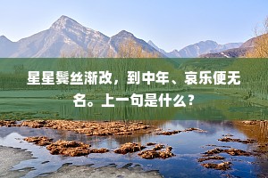 星星鬓丝渐改，到中年、哀乐便无名。上一句是什么？