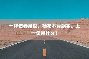 一样伤春身世，杨花不算飘零。上一句是什么？