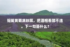 短篱黄菊满秋晖，把酒相看醉不违。下一句是什么？