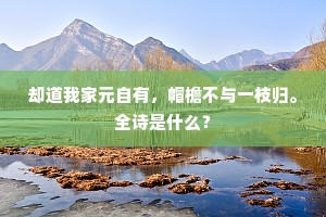 却道我家元自有，帽檐不与一枝归。全诗是什么？