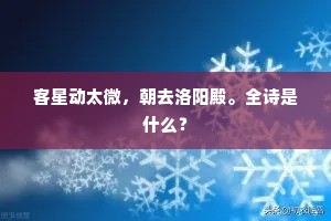 客星动太微，朝去洛阳殿。全诗是什么？