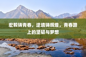 宏毅铸青春，逆境铸辉煌，青春路上的坚韧与梦想