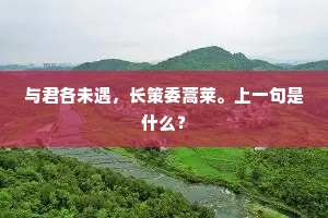 与君各未遇，长策委蒿莱。上一句是什么？