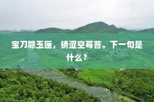 宝刀隐玉匣，锈涩空莓苔。下一句是什么？
