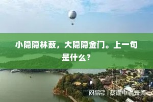 小隐隐林薮，大隐隐金门。上一句是什么？