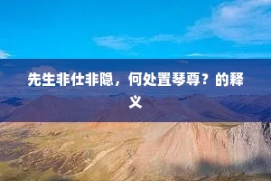 先生非仕非隐，何处置琴尊？的释义