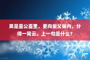 莫是壶公壶里，更向巢父巢内，分得一窝云。上一句是什么？