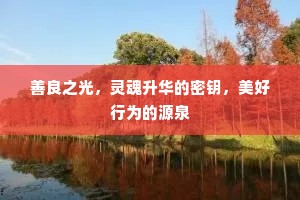 善良之光，灵魂升华的密钥，美好行为的源泉