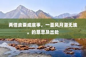 两借皮囊成底事，一壶风月湛无埃。的意思及出处