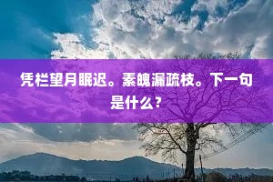 凭栏望月眠迟。素魄漏疏枝。下一句是什么？