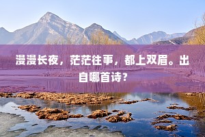 漫漫长夜，茫茫往事，都上双眉。出自哪首诗？