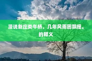 漫说新庄类午桥，几年风雨困飘摇。的释义