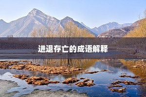 进退存亡的成语解释