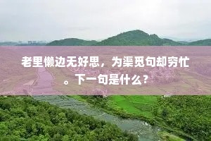老里懒边无好思，为渠觅句却穷忙。下一句是什么？