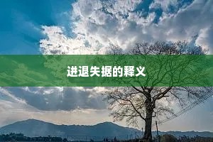 进退失据的释义