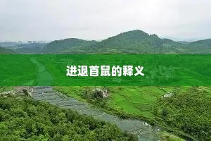 进退首鼠的释义
