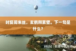 时复闻朱丝，玄鹤翔素壁。下一句是什么？