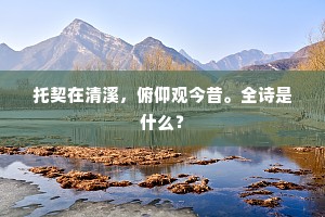 托契在清溪，俯仰观今昔。全诗是什么？