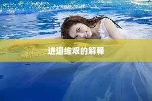 进退维艰的解释