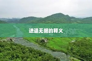 进退无据的释义