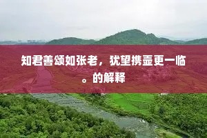 知君善颂如张老，犹望携壶更一临。的解释