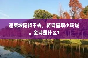 遮莫坡陀将不去，将诗描取小玲珑。全诗是什么？