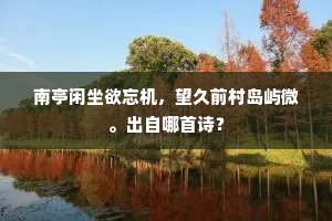 南亭闲坐欲忘机，望久前村岛屿微。出自哪首诗？