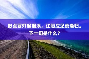 数点寒灯起烟浪，江艇应见夜渔归。下一句是什么？