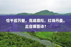 恰千岩万壑，完成鼎灶，红铸丹盘。出自哪首诗？