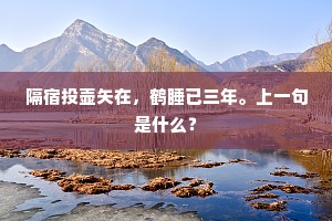 隔宿投壶矢在，鹤睡已三年。上一句是什么？