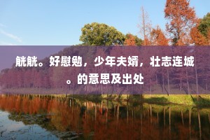 觥觥。好慰勉，少年夫婿，壮志连城。的意思及出处