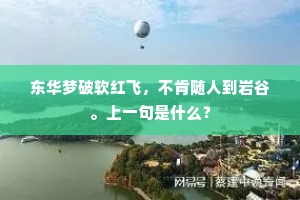 东华梦破软红飞，不肯随人到岩谷。上一句是什么？