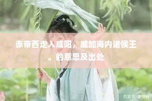 赤帝西走入咸阳，威加海内诸侯王。的意思及出处