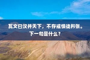 瓦文曰汉并天下，不存戒慎徒矜张。下一句是什么？