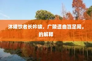 沐曦饮者长吟啸，广陵遗曲岂足闻。的解释