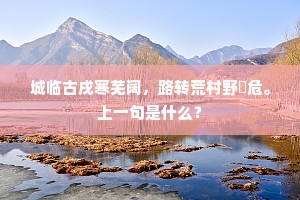 城临古戌寒芜阔，路转荒村野彴危。上一句是什么？