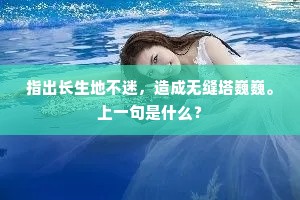 指出长生地不迷，造成无缝塔巍巍。上一句是什么？