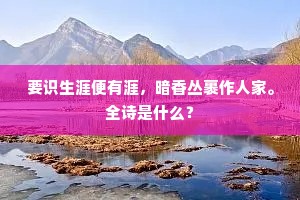 要识生涯便有涯，暗香丛裹作人家。全诗是什么？