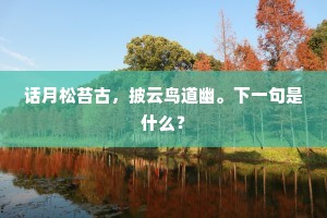 话月松苔古，披云鸟道幽。下一句是什么？