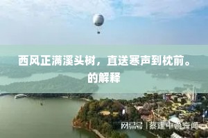 西风正满溪头树，直送寒声到枕前。的解释