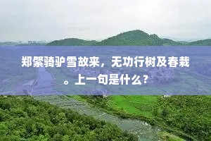 郑綮骑驴雪故来，无功行树及春栽。上一句是什么？