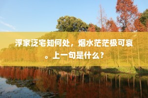 浮家泛宅知何处，烟水茫茫极可哀。上一句是什么？