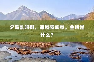夕鸟乱鸣树,凉风微动琴。全诗是什么? 夕鸟乱鸣树,凉风微动琴。全诗是什么?