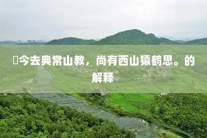 秪今去典常山教，尚有西山猿鹤思。的解释