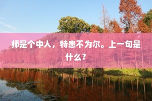 师是个中人，特患不为尔。上一句是什么？