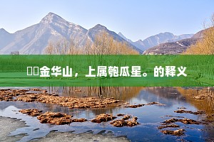 岧岧金华山，上属匏瓜星。的释义